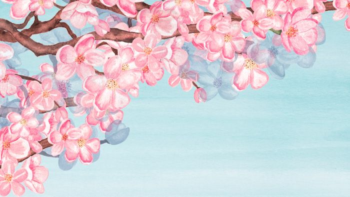 Spring Digital Assets Wallpaper