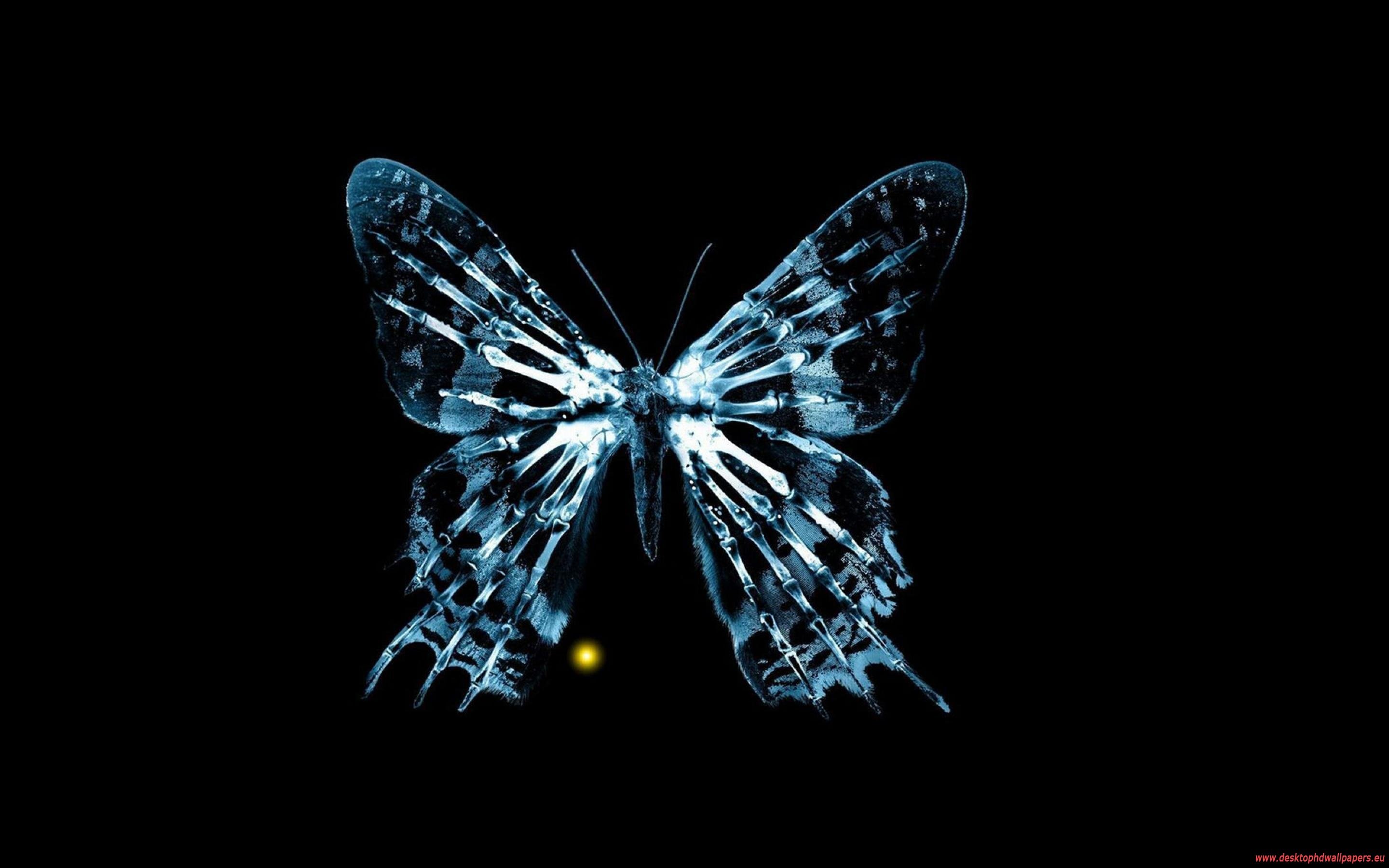 Fringe Butterfly wallpaper 234592