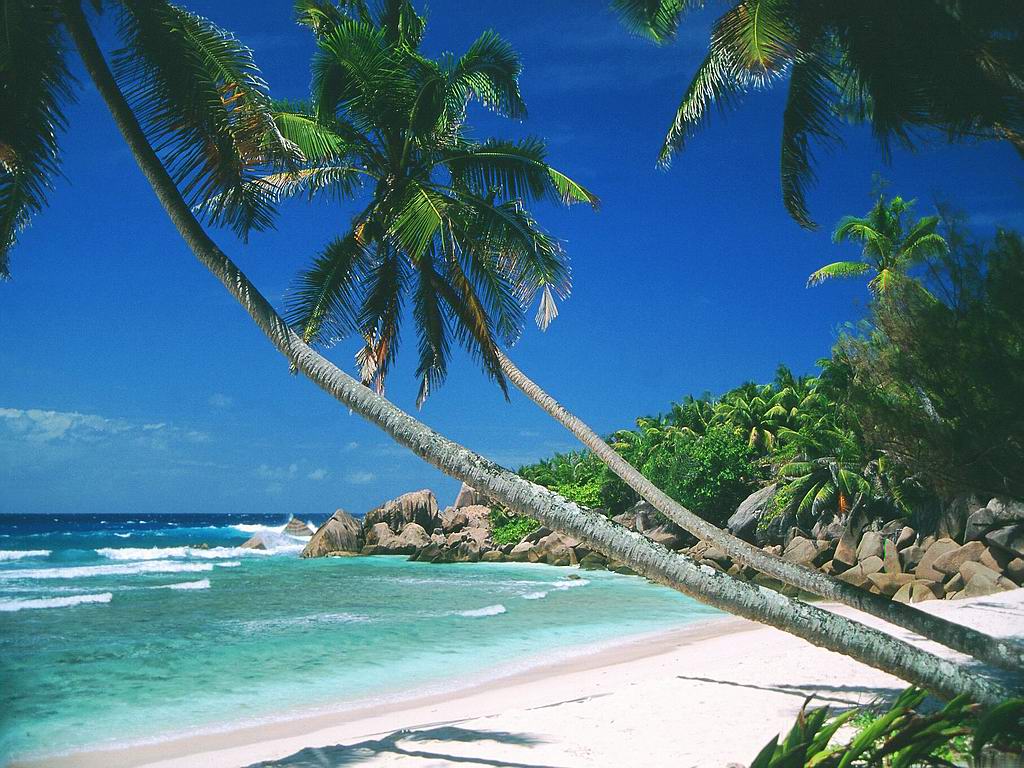 Beach Maui Hawaii Free Wallpaper In Desktop Backgrounds Beaches