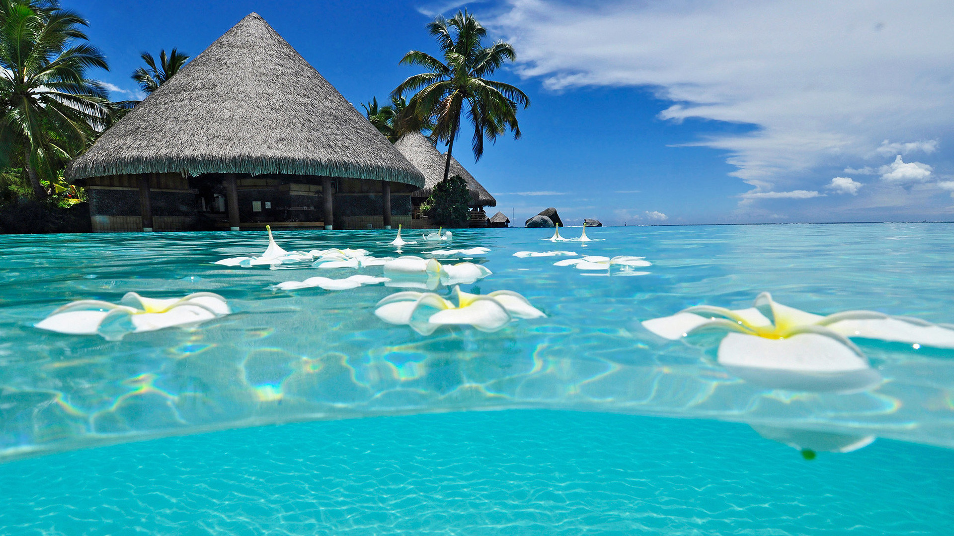 HD Beach Desktop Background Image