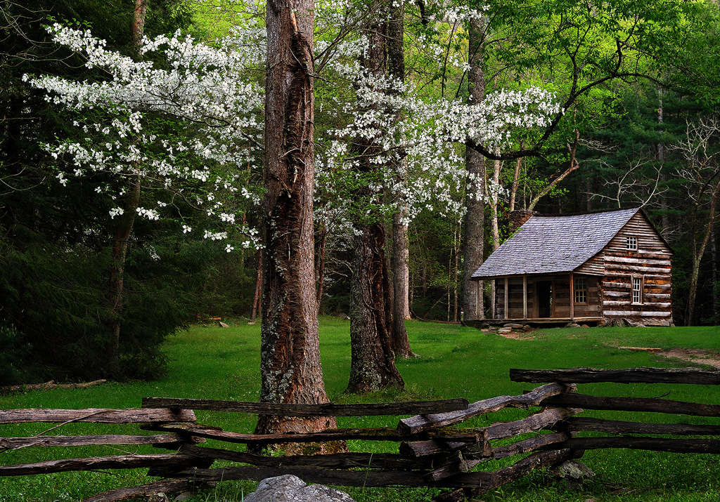 Carter Shield S Cabin And Dogwood Fine Art Nature Photography By