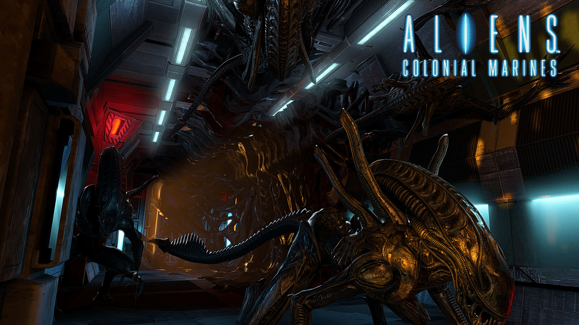 Aliens Colonial Marines 1080p Wallpaper Just Click On