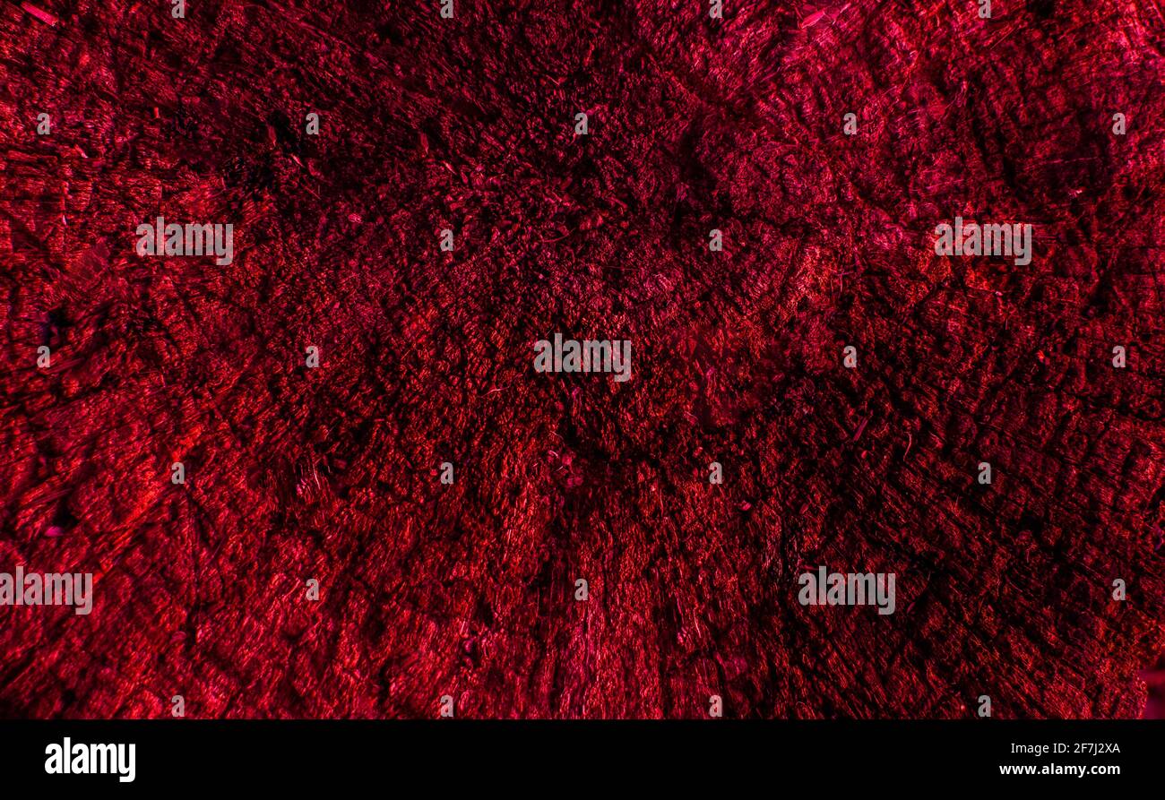 Dark Red Maroon Background Grunge Texture Wallpaper Stock Photo