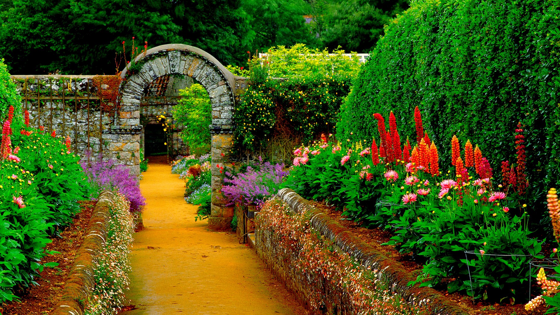 View of an old house in a beautiful garden. Photo wallpaper, mural. Stock  Illustration | Adobe Stock