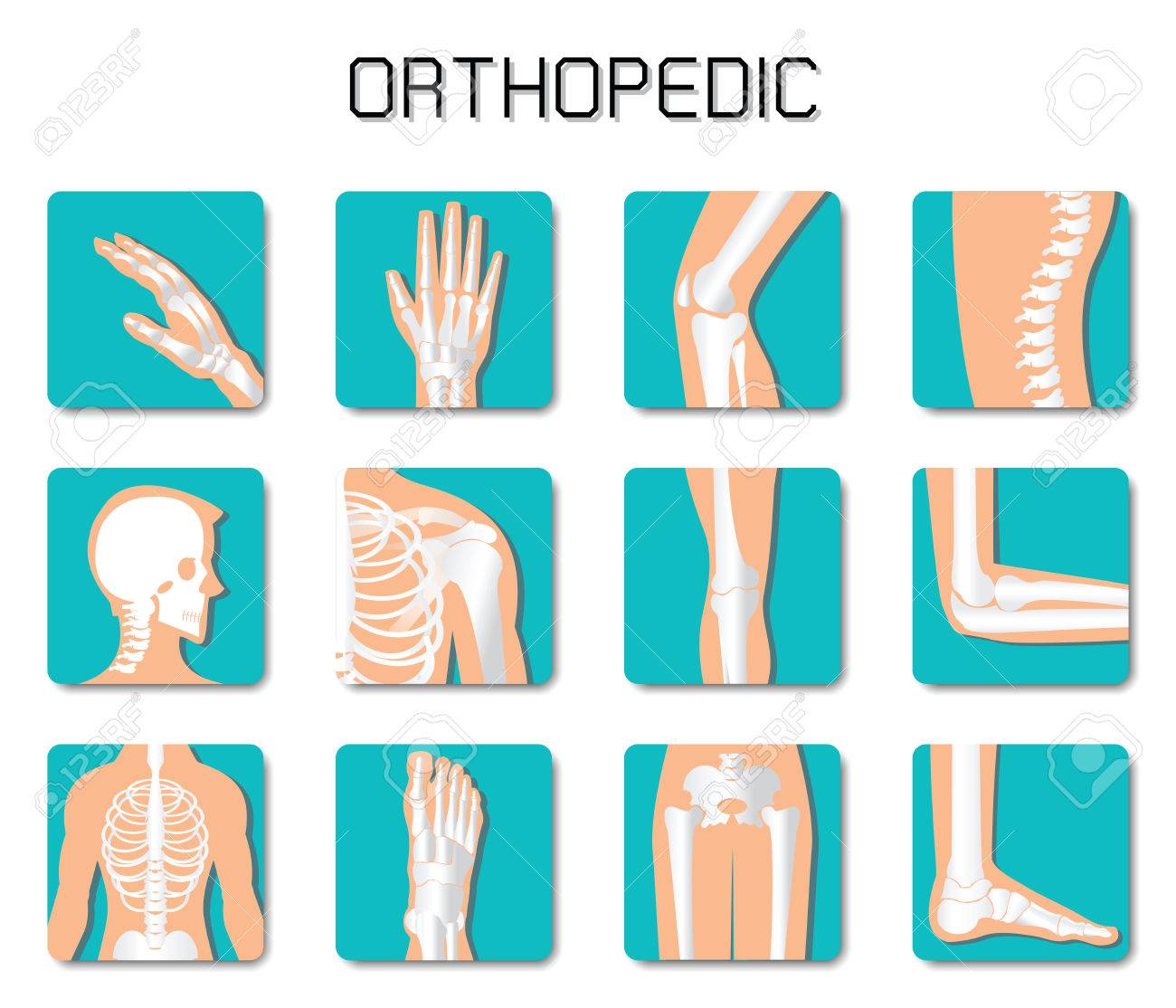 Orthopedic And Spine Icon Set On White Background Bone X Ray