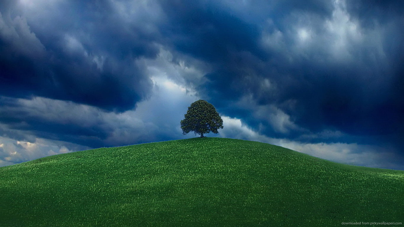 Lonely Tree Under Heavy Clouds Wallpaper