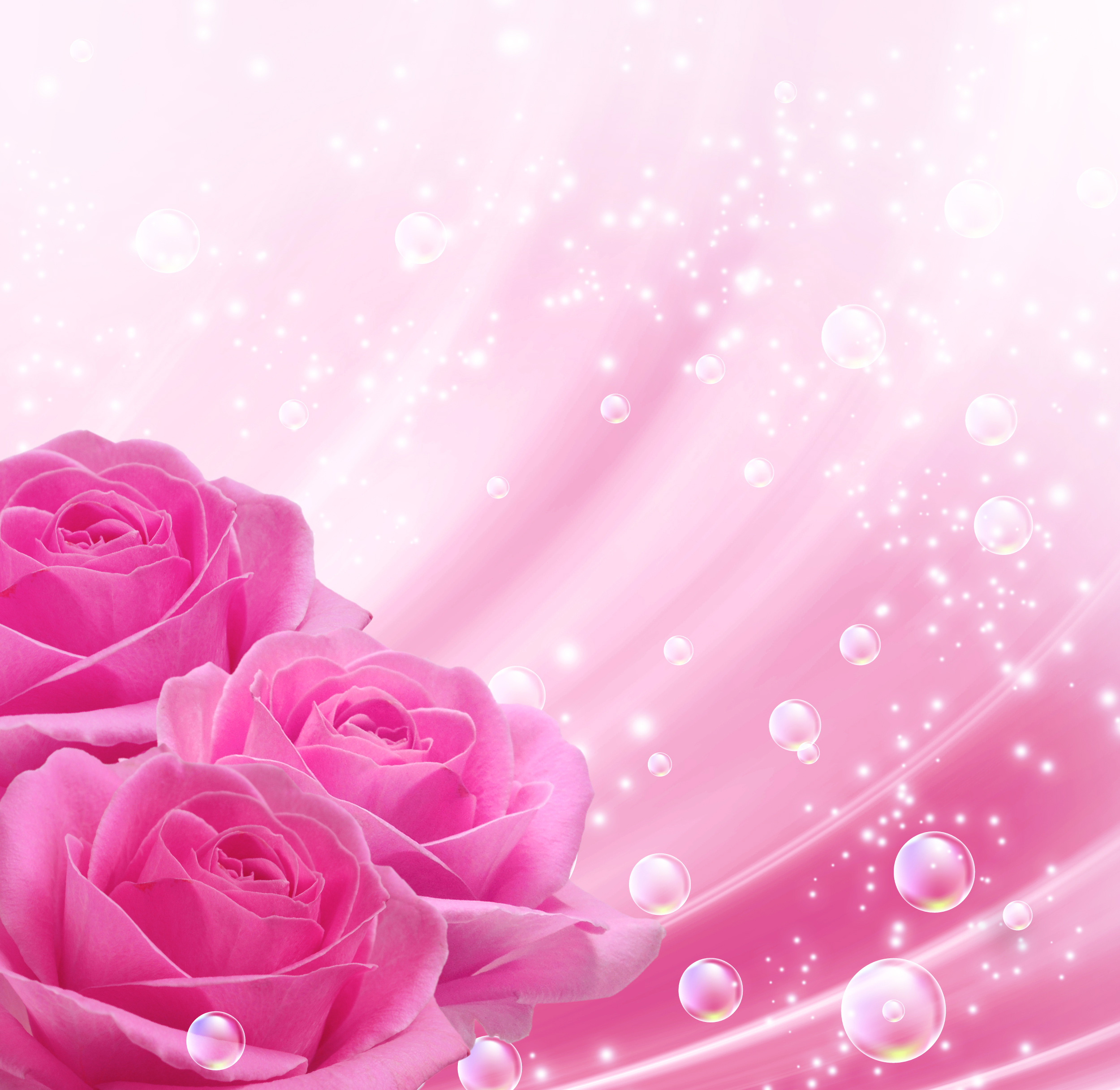 Pink Background with Pink Roses Gallery Yopriceville High