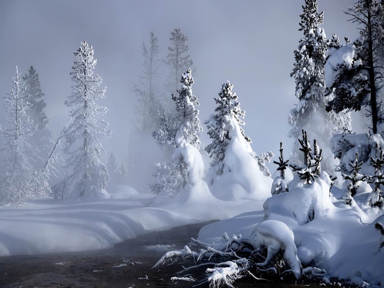 Winter wonderland scene with snow-covered trees and a flowing stream in a frosty forest