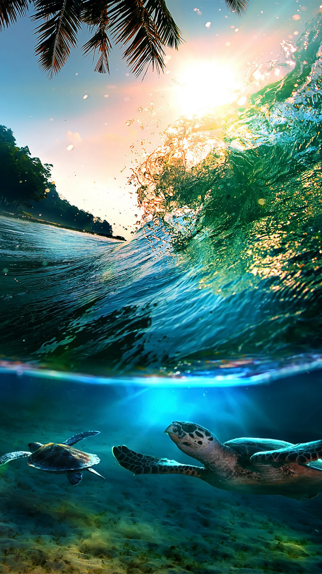 Tropical Sea Island Turtles iPhone Plus HD Wallpaper