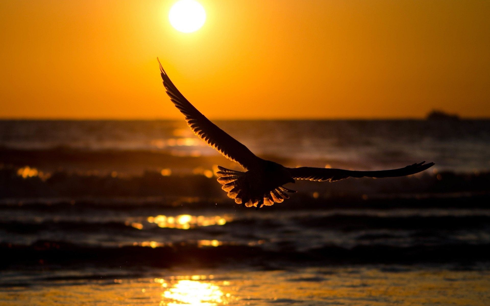 A Bird Flying Over The Ocean At Sunset With Words Saying Blessing And Prayers Hugs Wallpaper