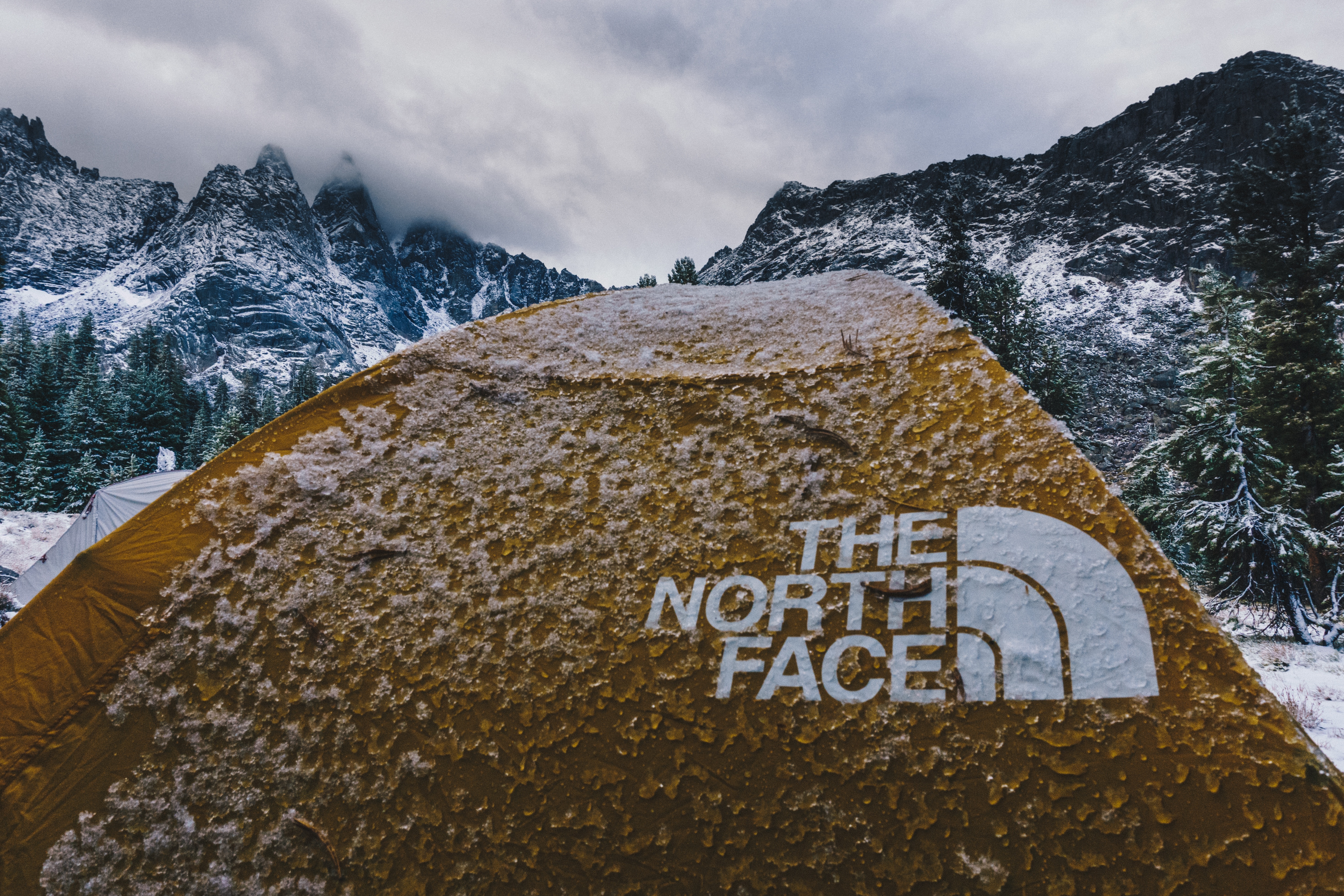 Beige The North Face Tent Image
