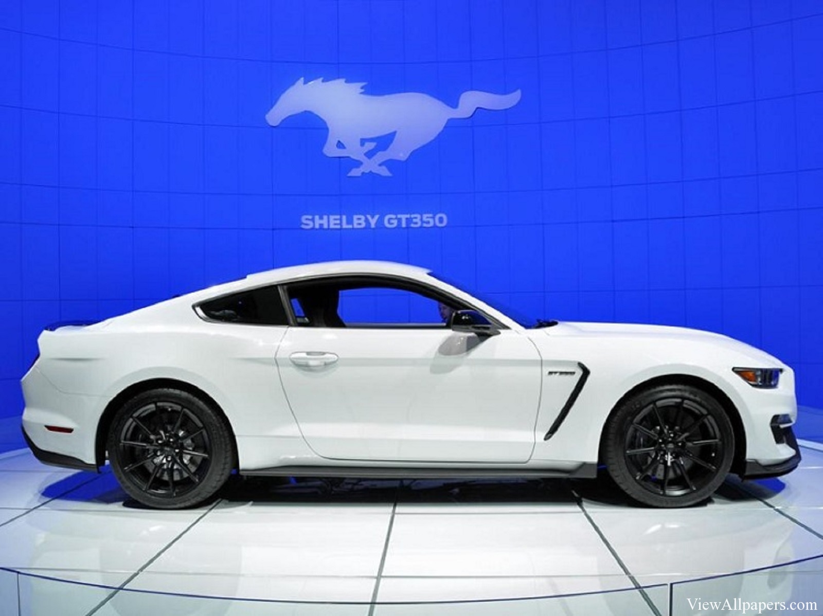Wallpaper Mustang Shelby Gt350 Image