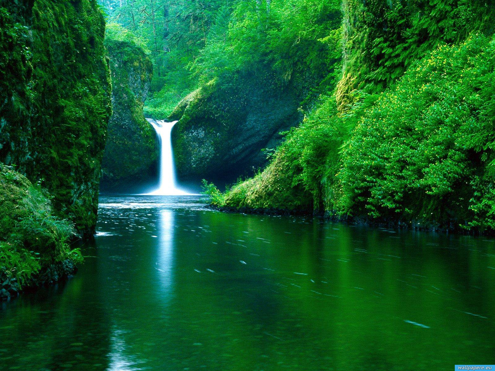 Beautiful Nature Hd Wallpaper Widescreen Cool Image