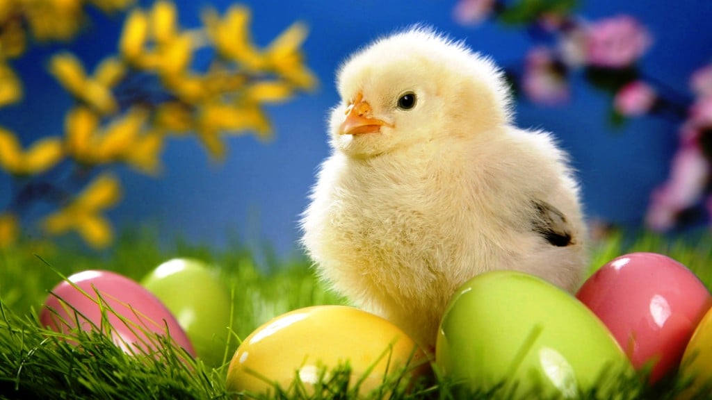 Find more Free Easter Wallpaper for Computer Easter Chick 1024x576 1jpg. 