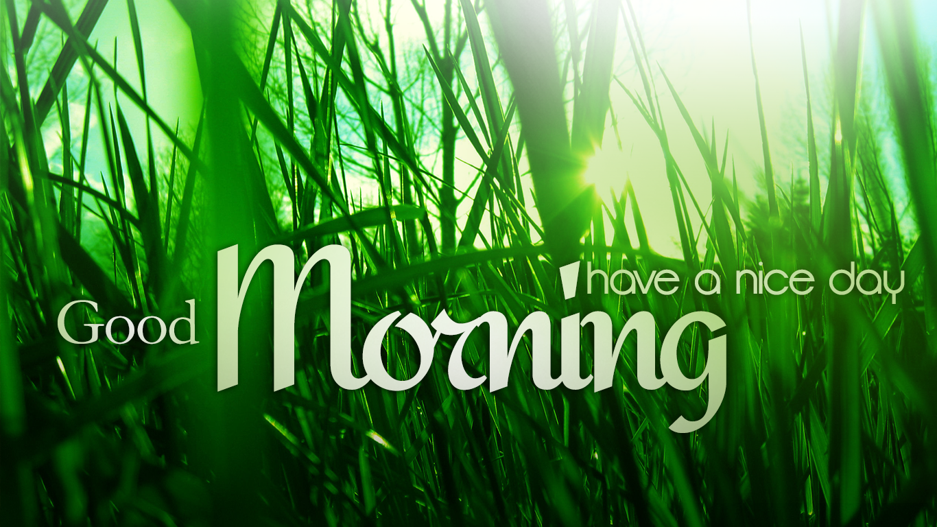 Good Morning Wallpaper Quotesstack