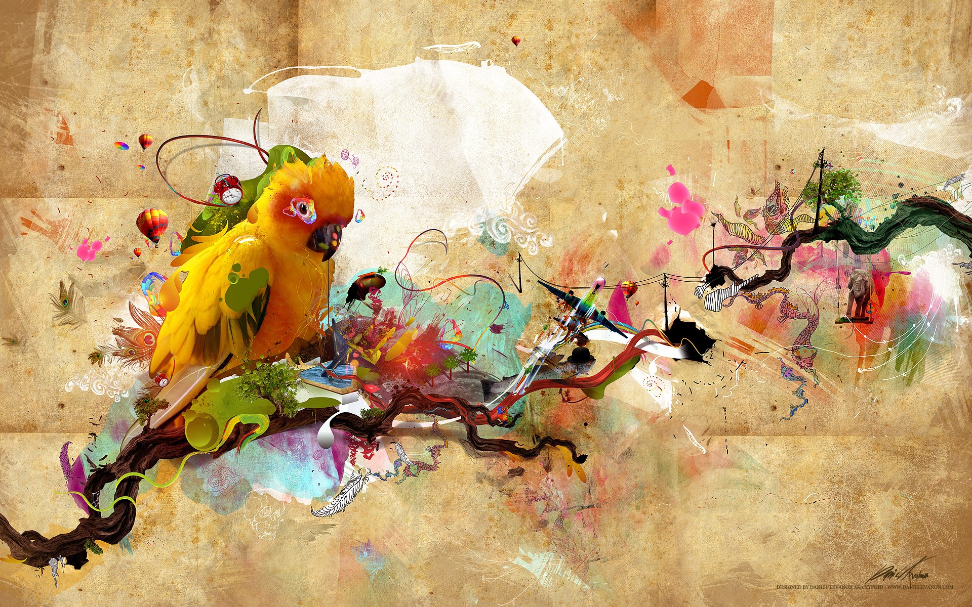 Birds Of Paradise wallpaper   561886