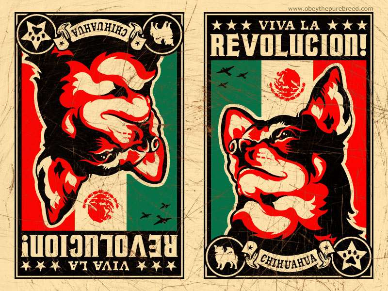 Obey Propaganda Wallpaper Chihuahua Revolution
