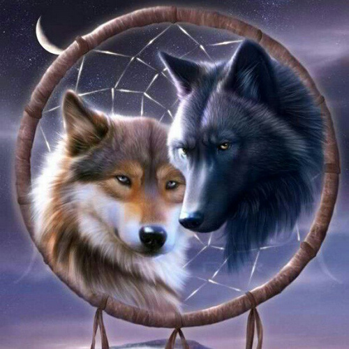 Dreamcatcher Wolves Photo Sharing