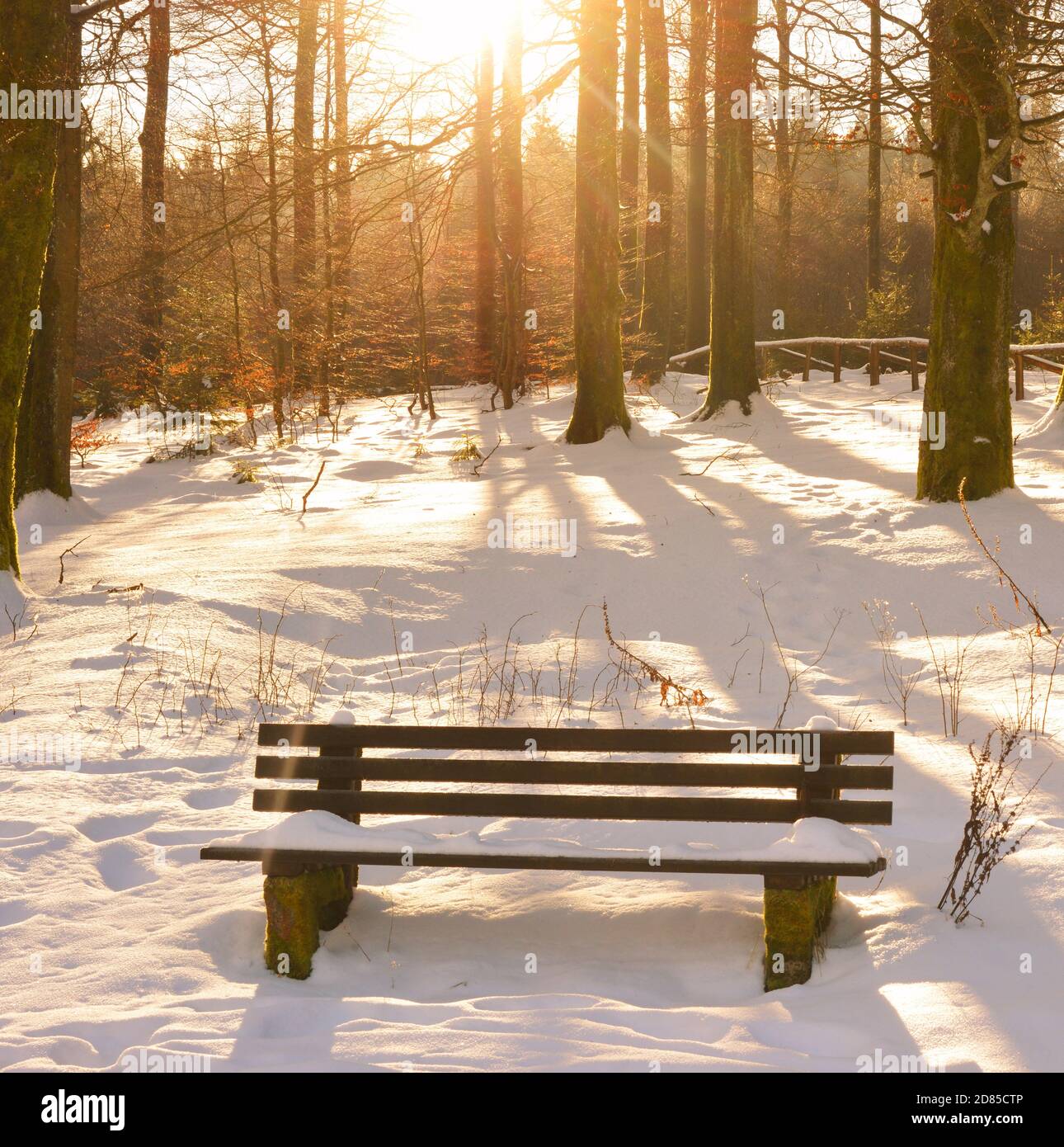 Sunny winter day beautiful light on a snow covered bench outdoors