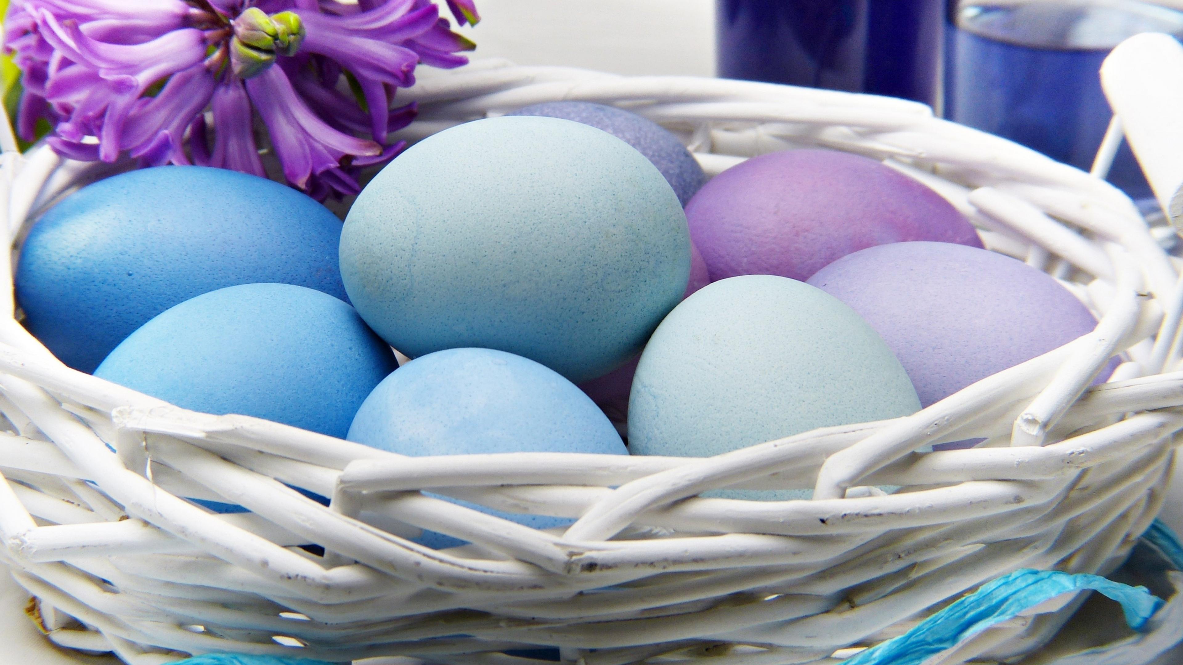 Wallpaper Easter Eggs Colored Nest Close Up