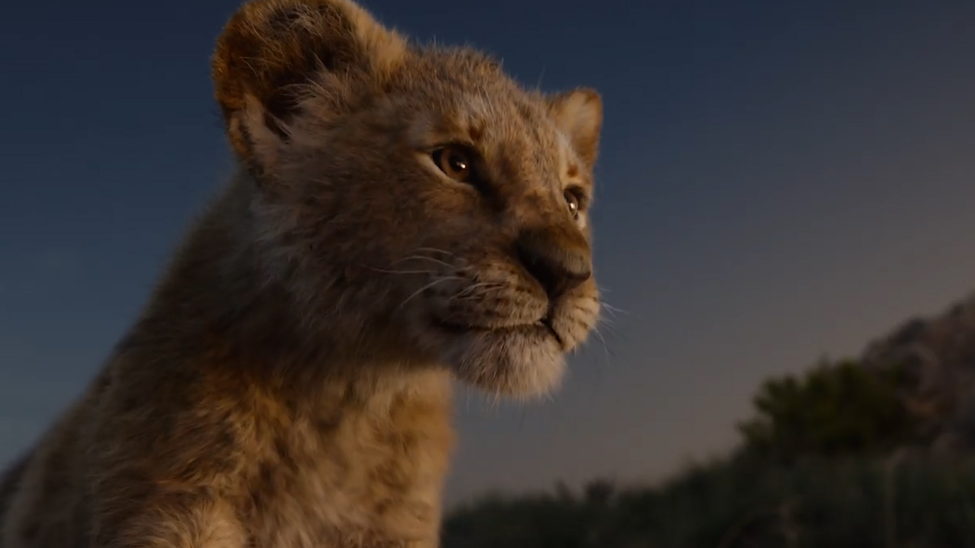 See The Live Action Trailer For Lion King Cnn Video