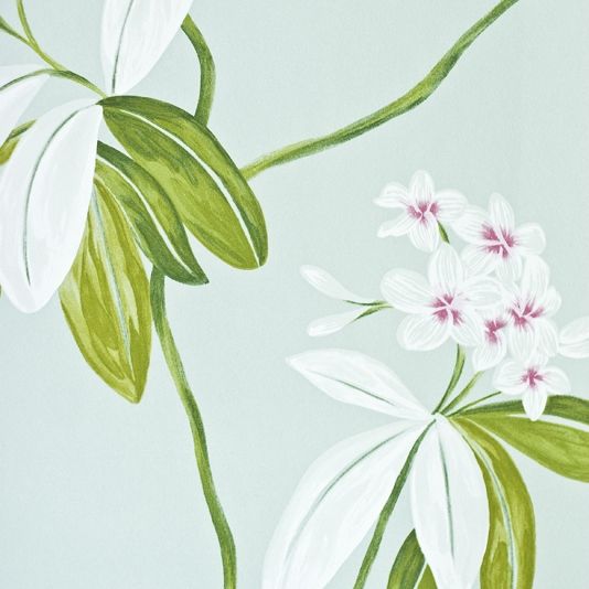 Oleander Floral Wallpaper Contemporary Large Print On