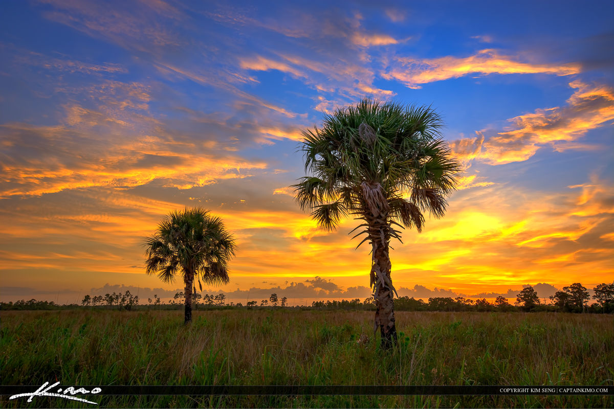 Florida Landscape HDr Photo Pine Glades Natural Area Royal Stock