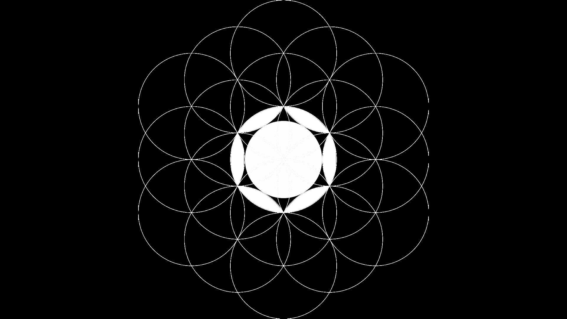 Flower Of Life Wallpaper