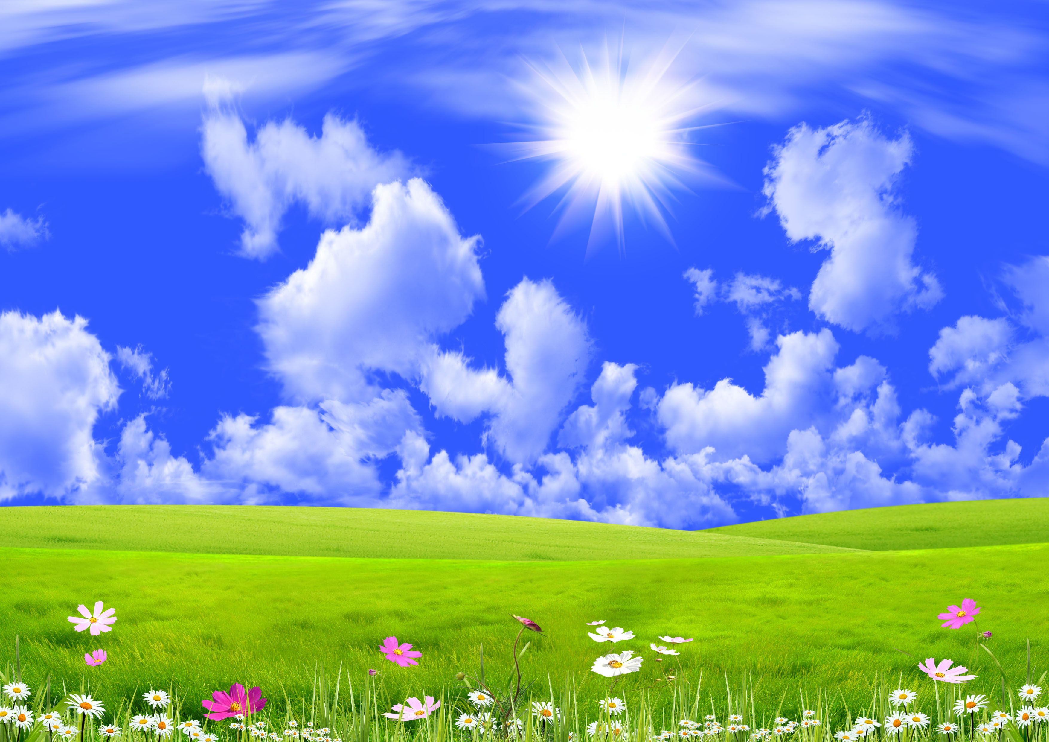 Sunshine Nature Background Kb Beautiful Day In