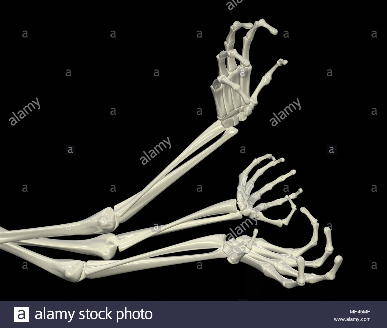 3d Skeletal Arm Isolated Dark Background Stock Photo