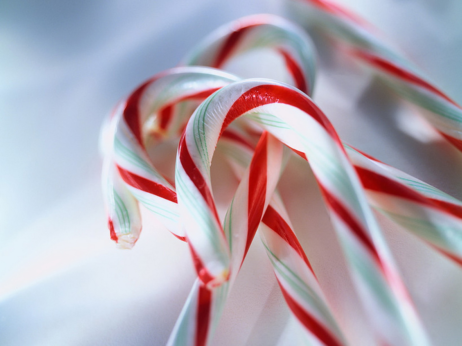 Yummy Candy Cane Wallpaper