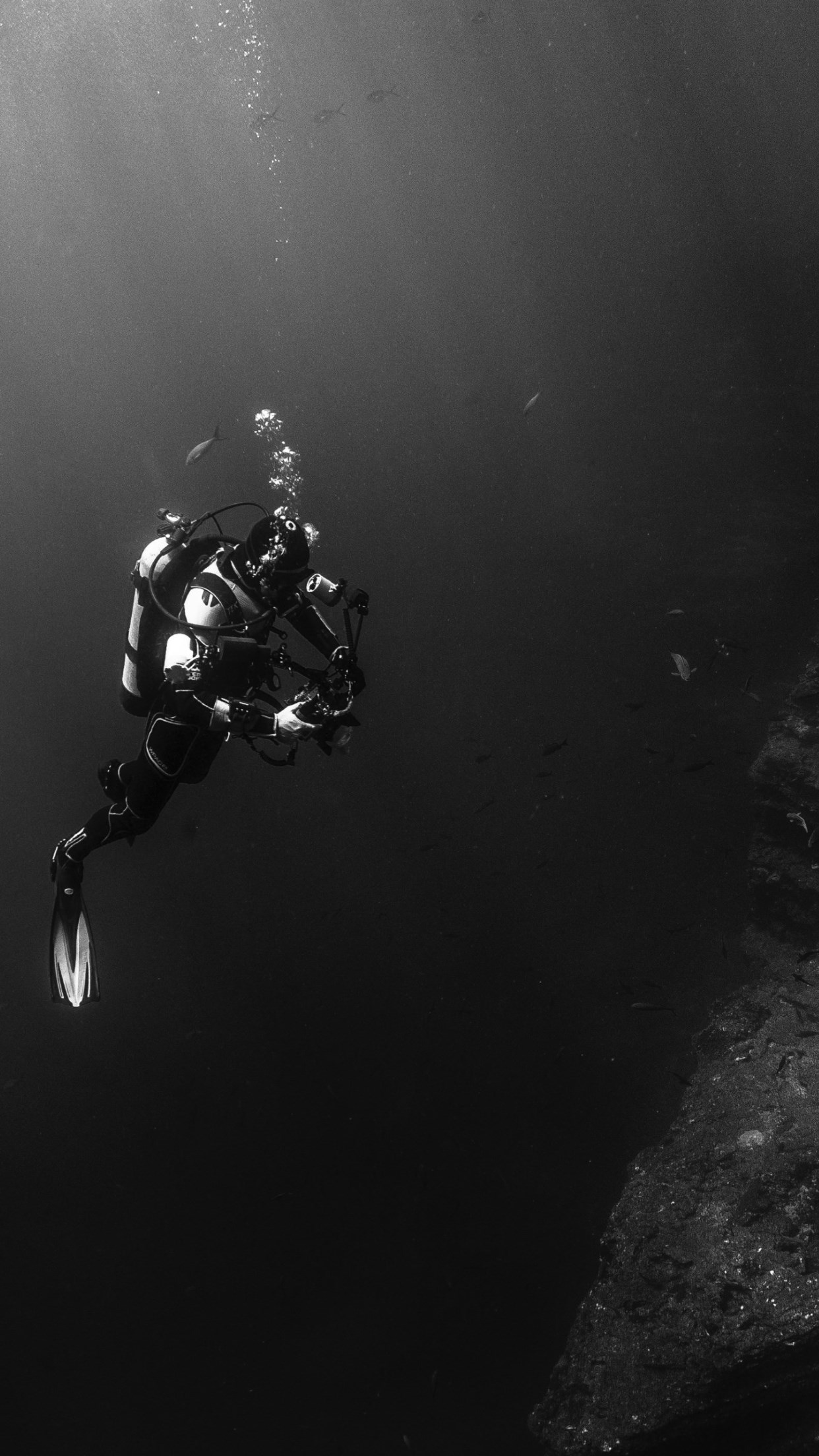 Wallpaper Diver In The Pacific Ocean