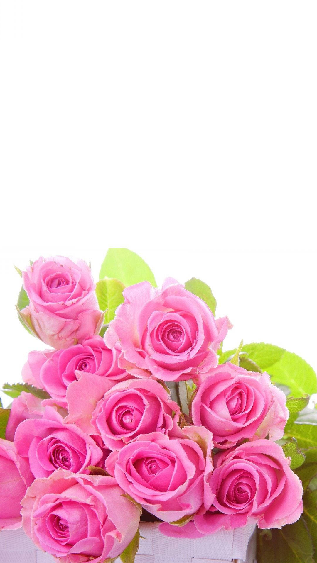 Pink Rose iPhone Wallpaper