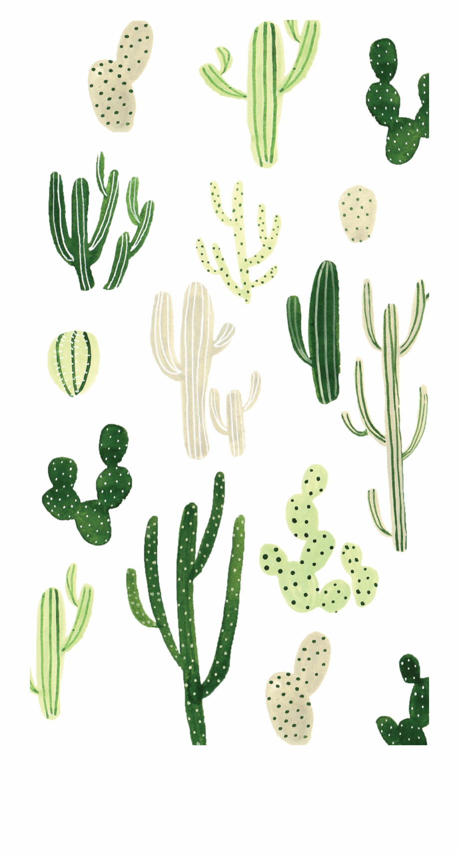 Wallpaper For Your Phone iPhone Plants Cactus