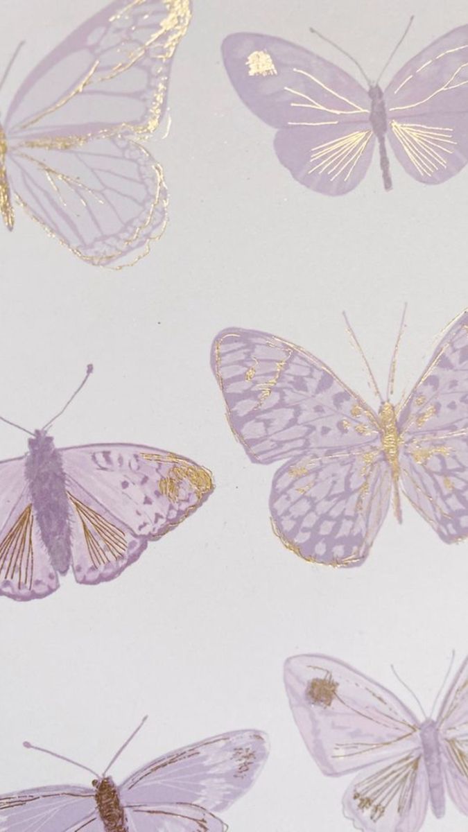 Butterfly Wallpaper For iPhone