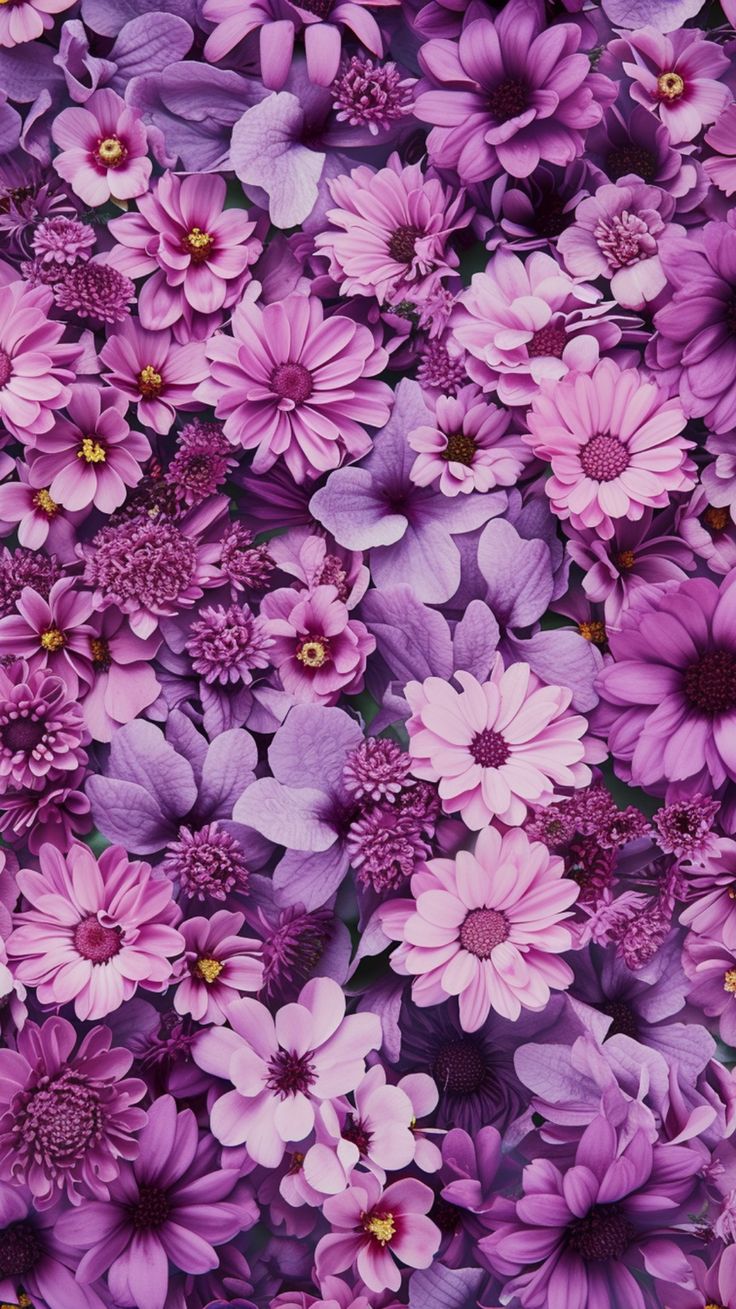 Lilac Purple iPhone Wallpaper