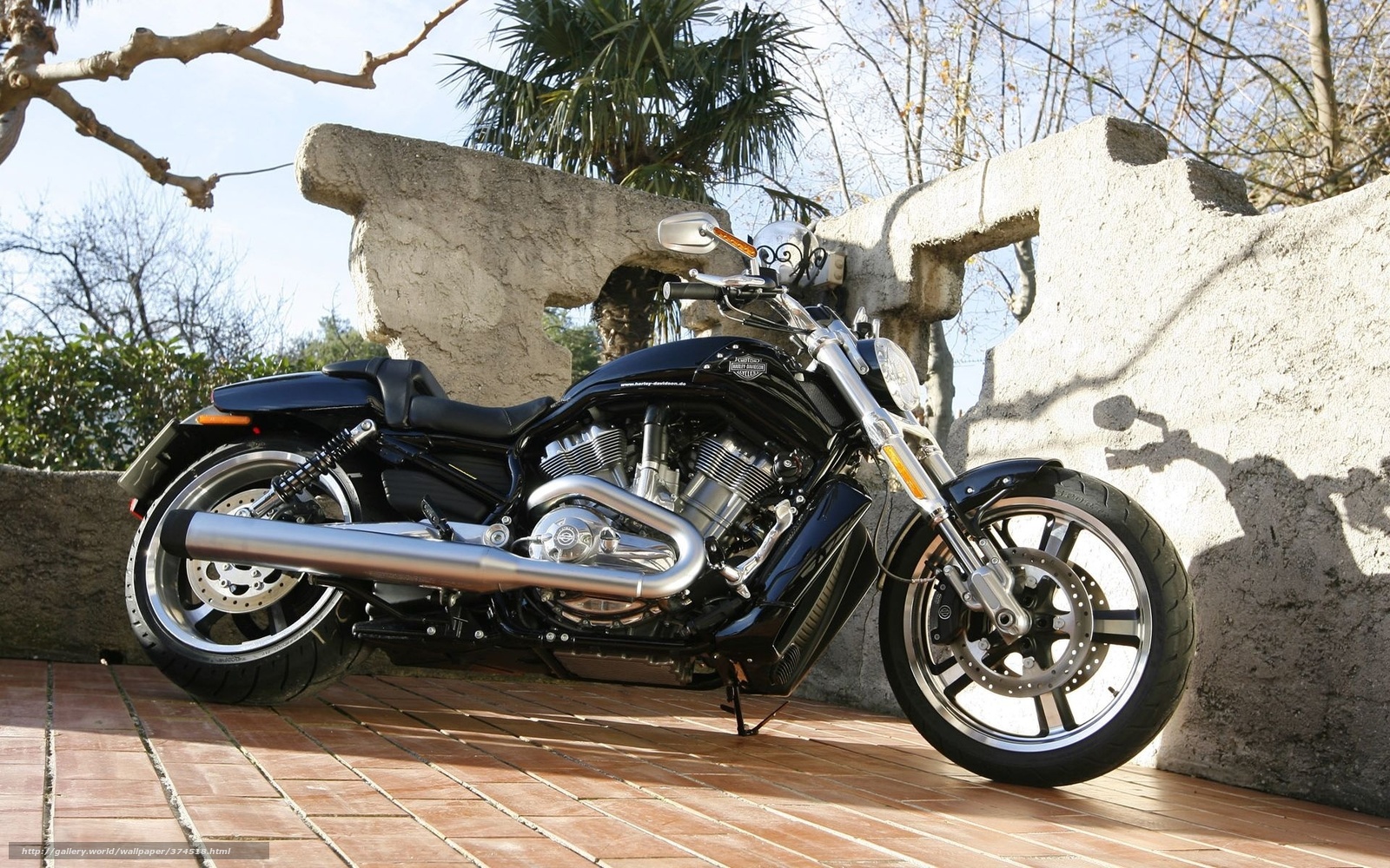 Wallpaper Harley Davidson V Rod Muscle Vrscf