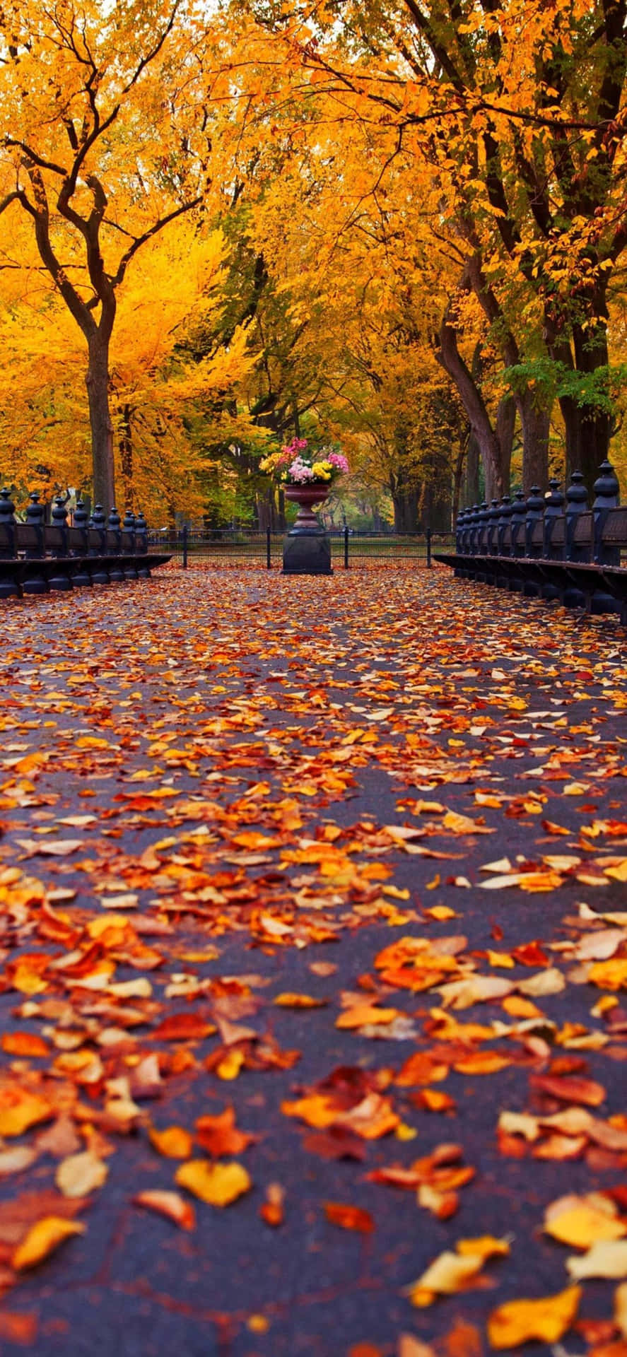 4k Fall Wallpaper