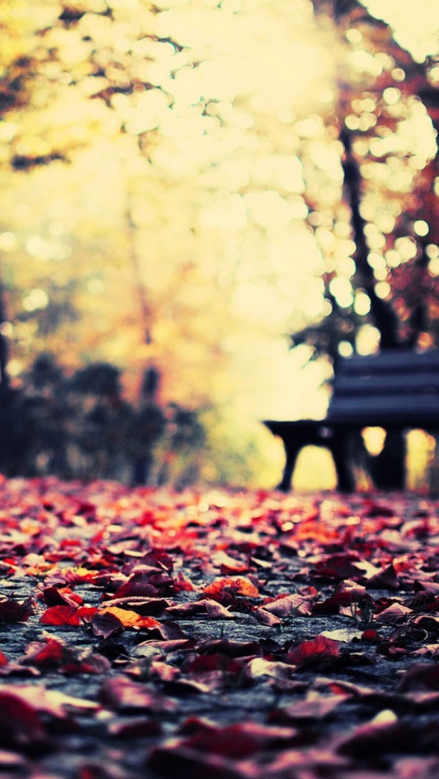 Autumn Leaves Park Bench iPhone Wallpaper Ipod HD