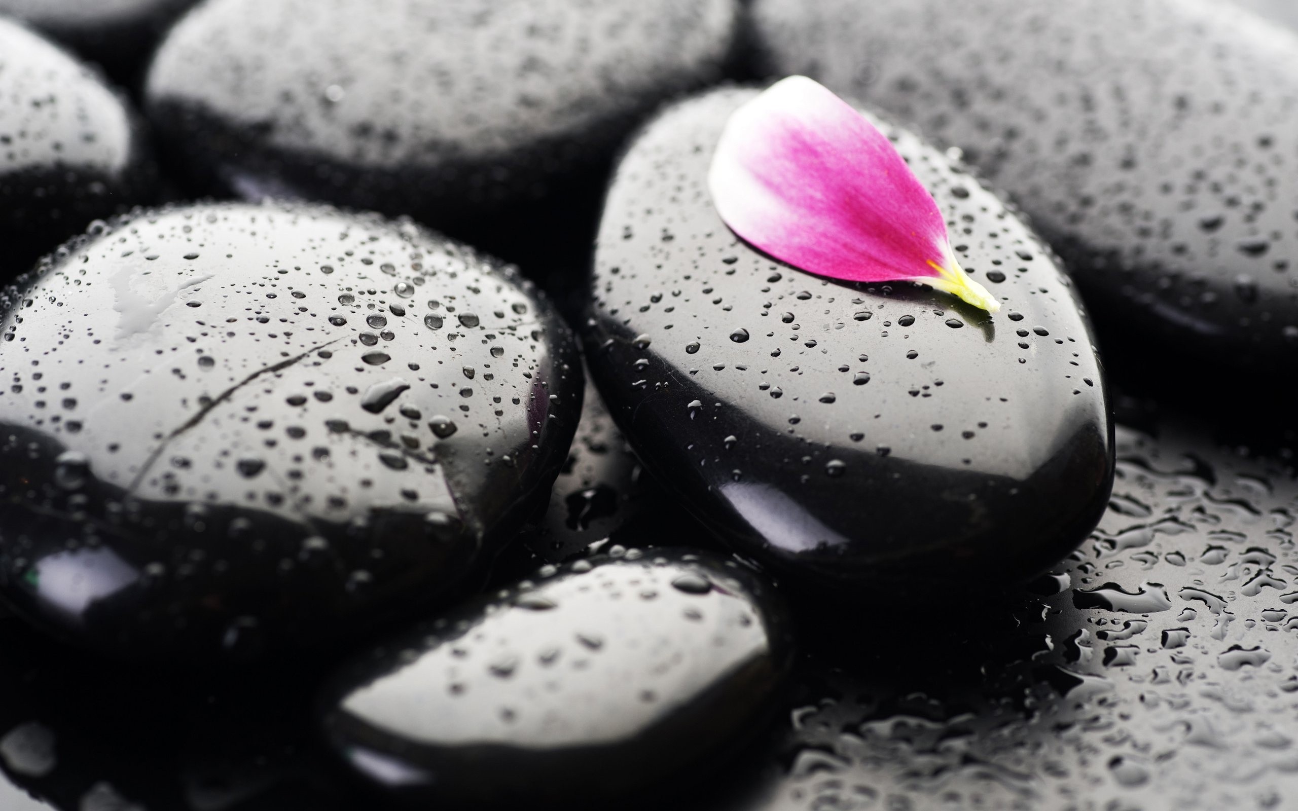 Zen Black Stones Macro HD Wallpaper