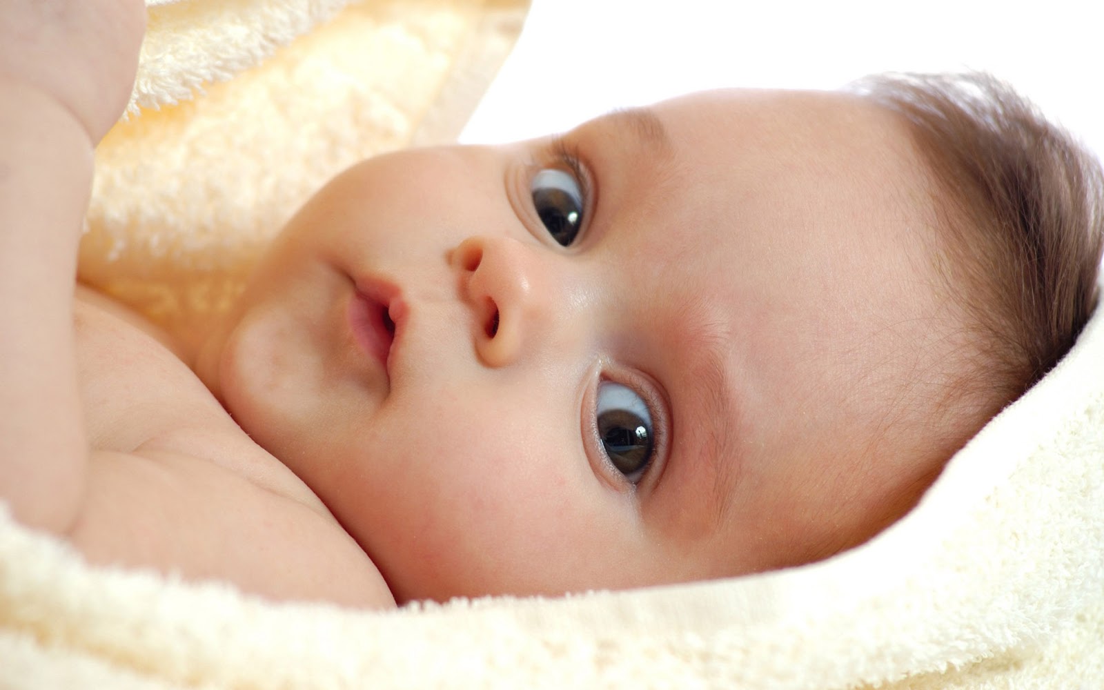 Very Cute Little Baby Boy HD Wallpaper Babies