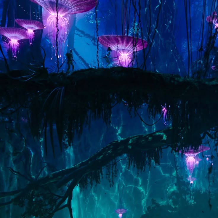 0da1859c35565e94951a0de04615dc8a Wallpaper