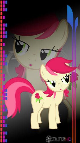 My Little Pony Friendship Is Magic iPhone Pod Wallpaper