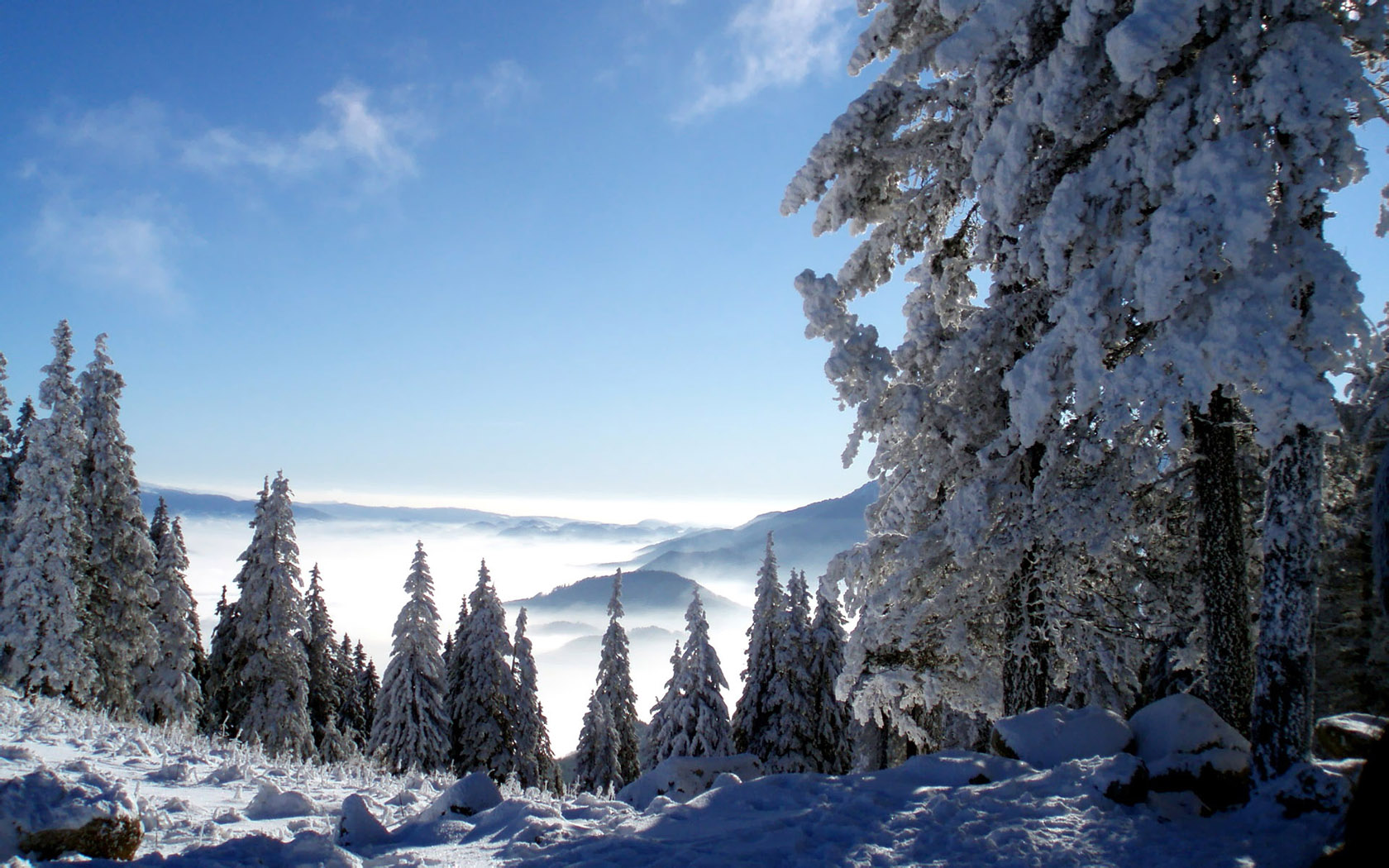 Widescreen Winter Snow Scenery Dreamy Wallpaper