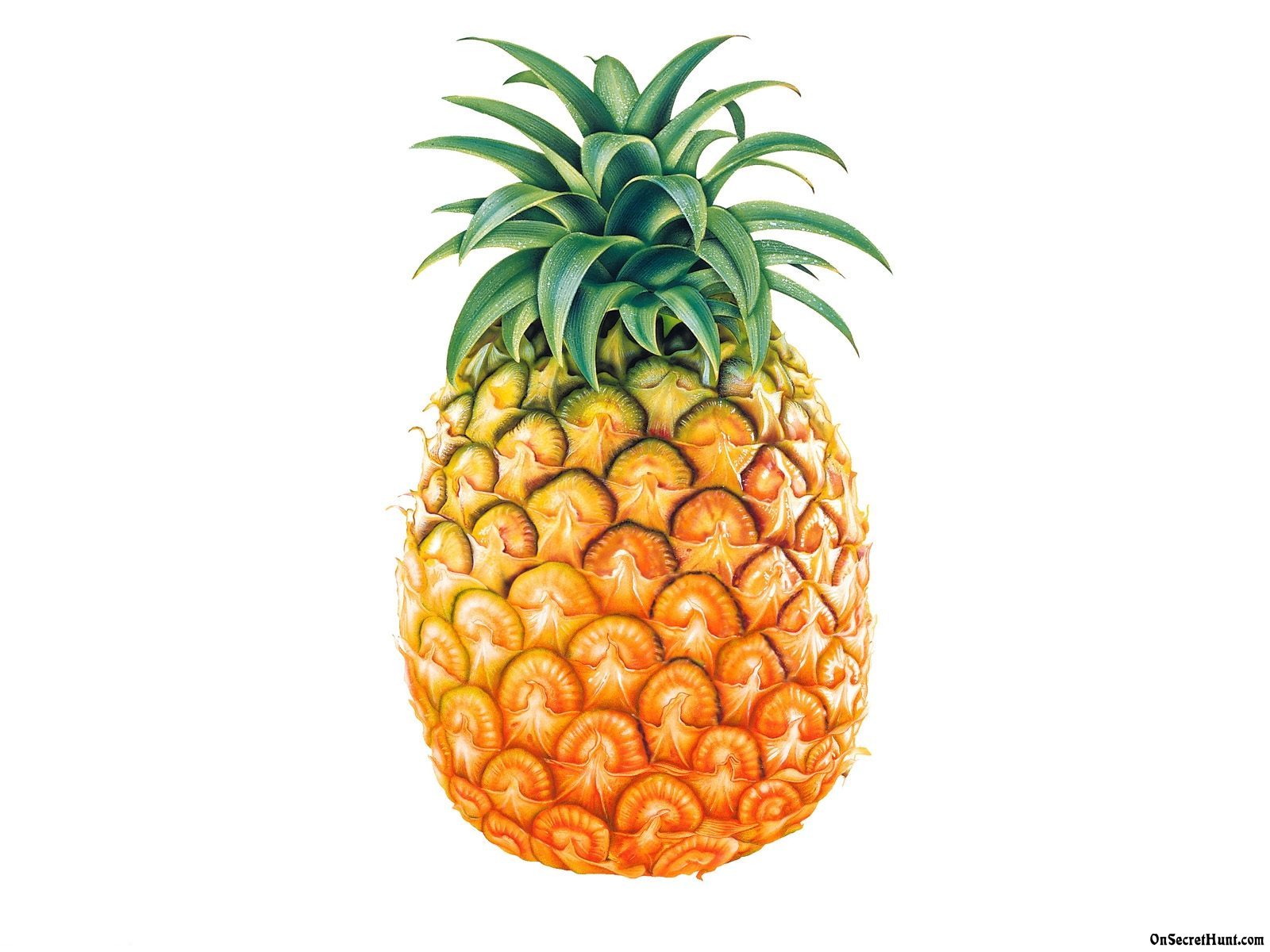 Pineapple Wallpaper Jpg
