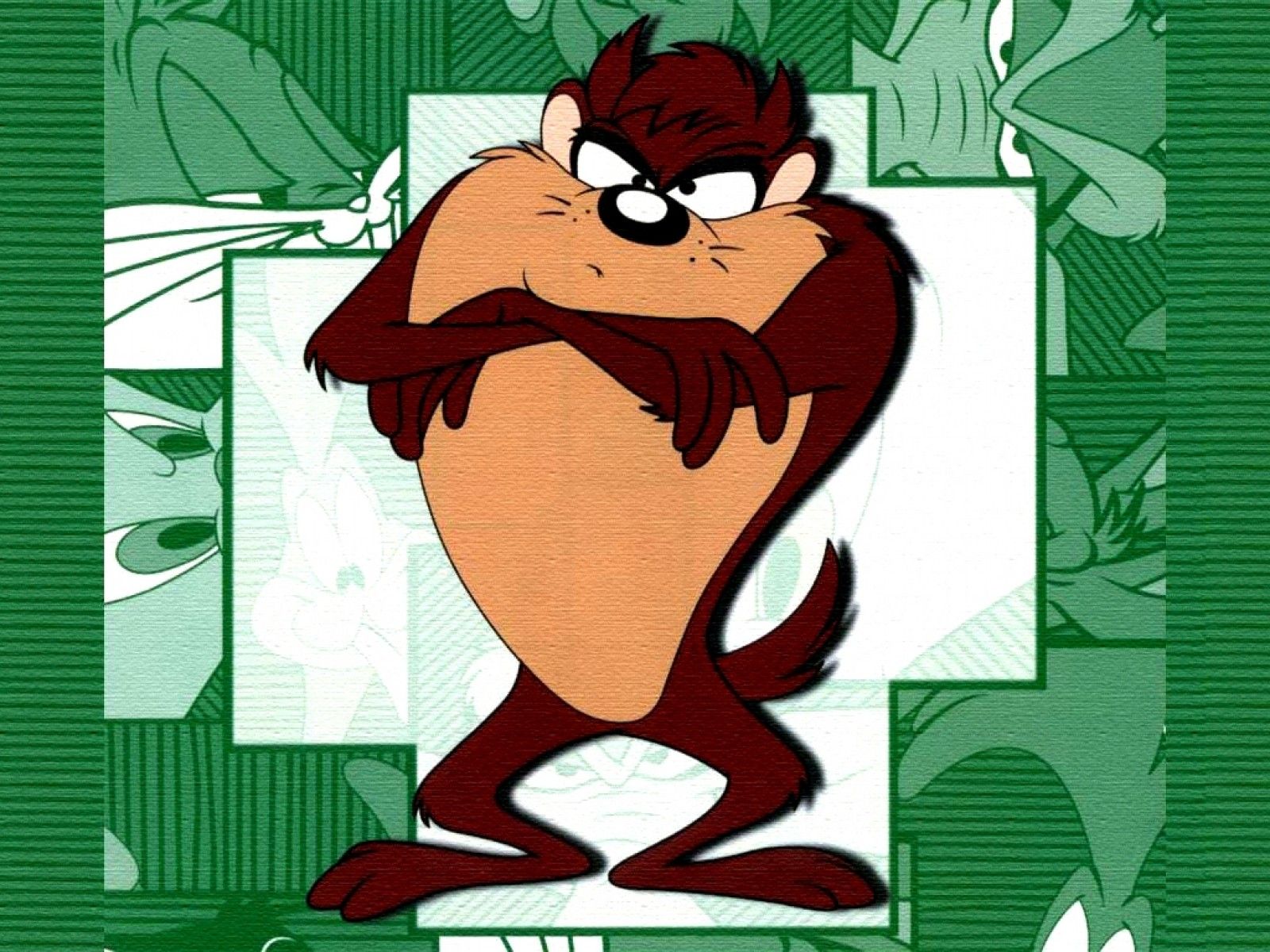 Looney Tunes Tasmanian Devil Hi Def Image Wallpaper
