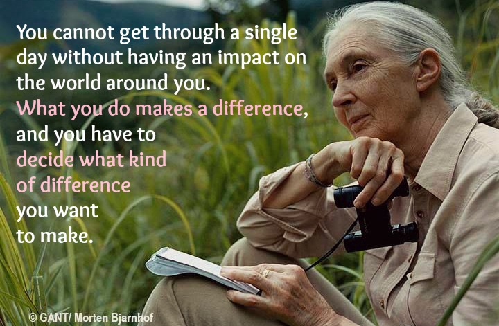 Jane Goodall Quotes Imgkid The Image Kid Has It