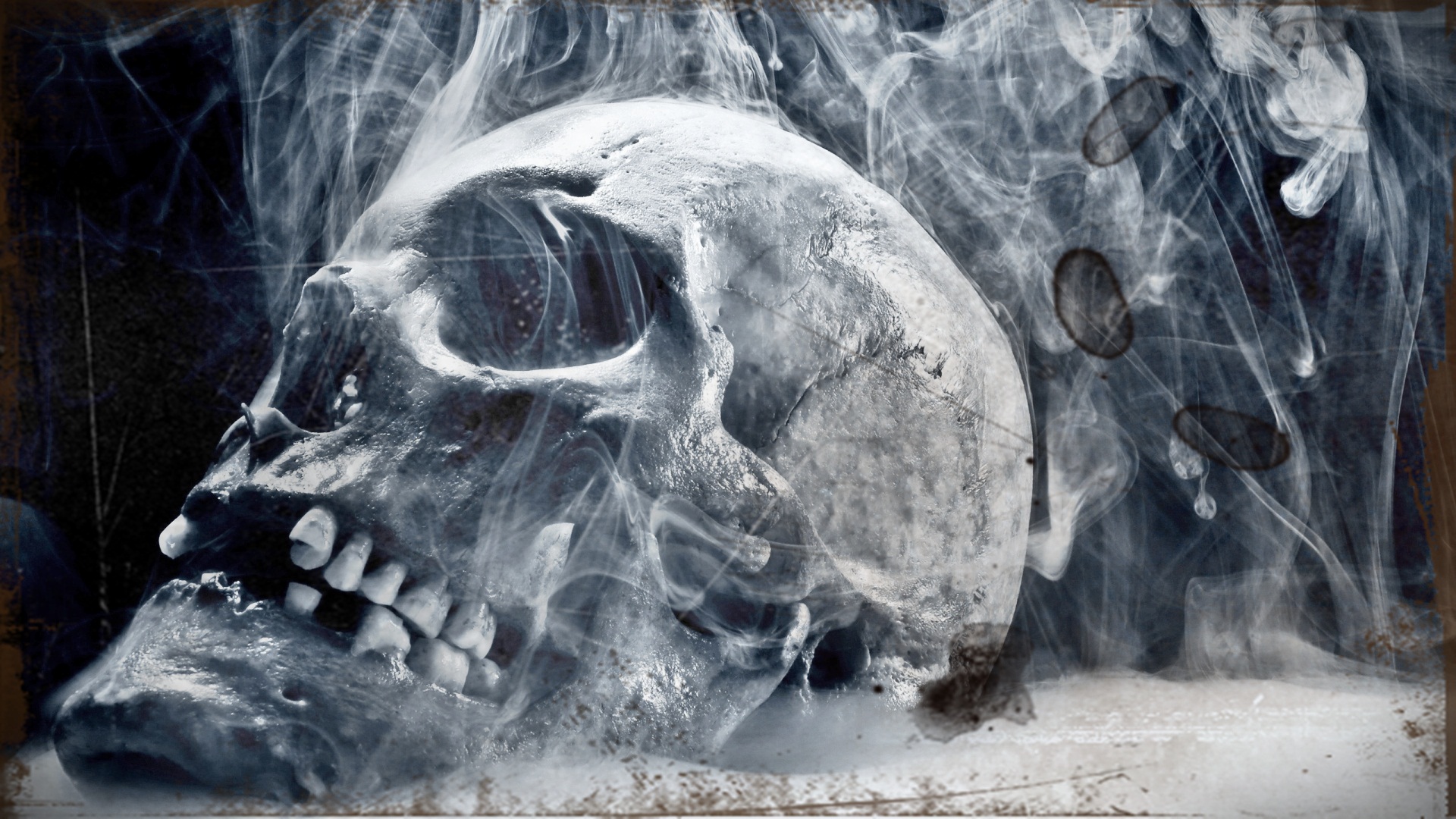 Smoke Skull 3D Wallpaper Wallpaper WallpaperLepi