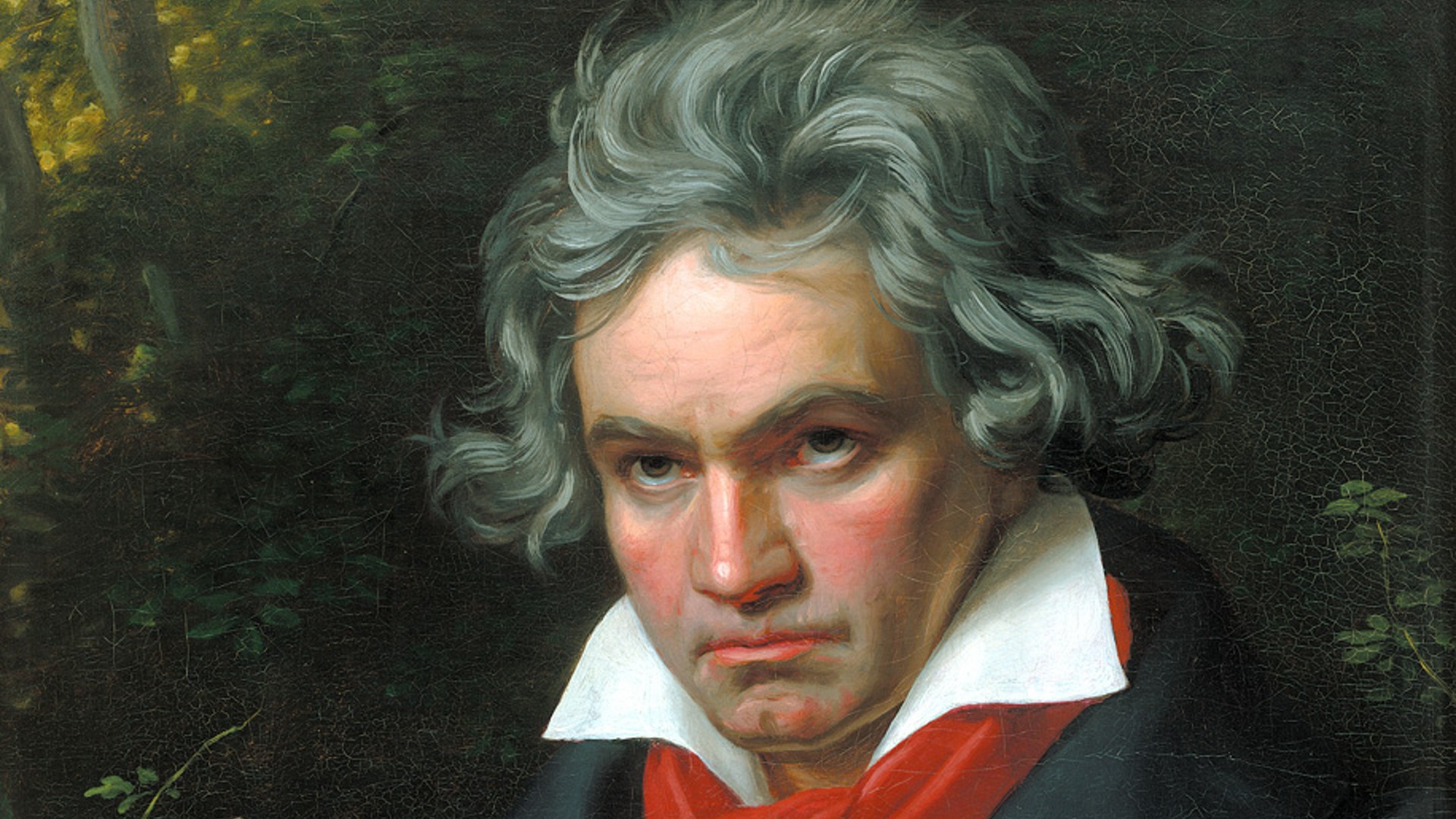 Music Ludwig Van Beethoven Wallpaper