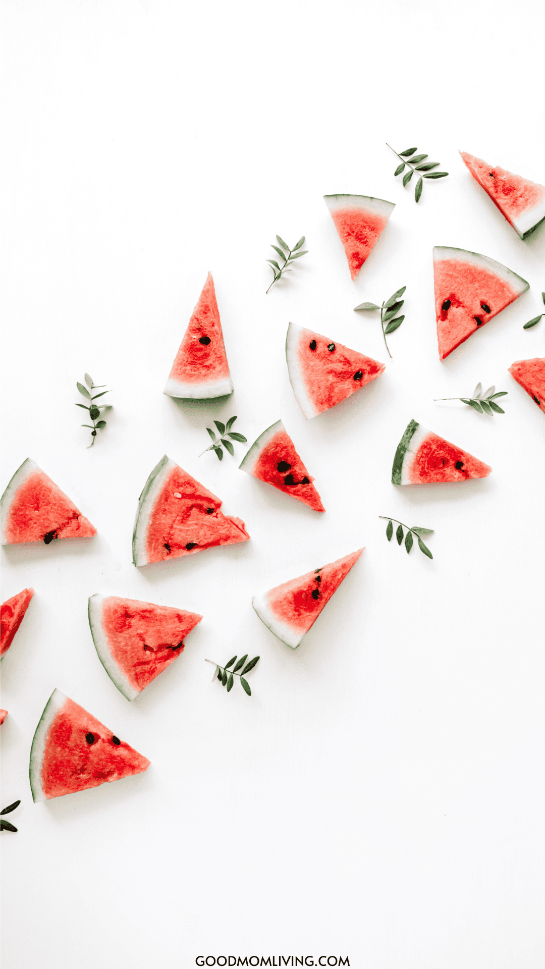 Cute Watermelon Wallpaper iPhone HD Fruity